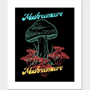 Mushroomcore Madness Posters and Art